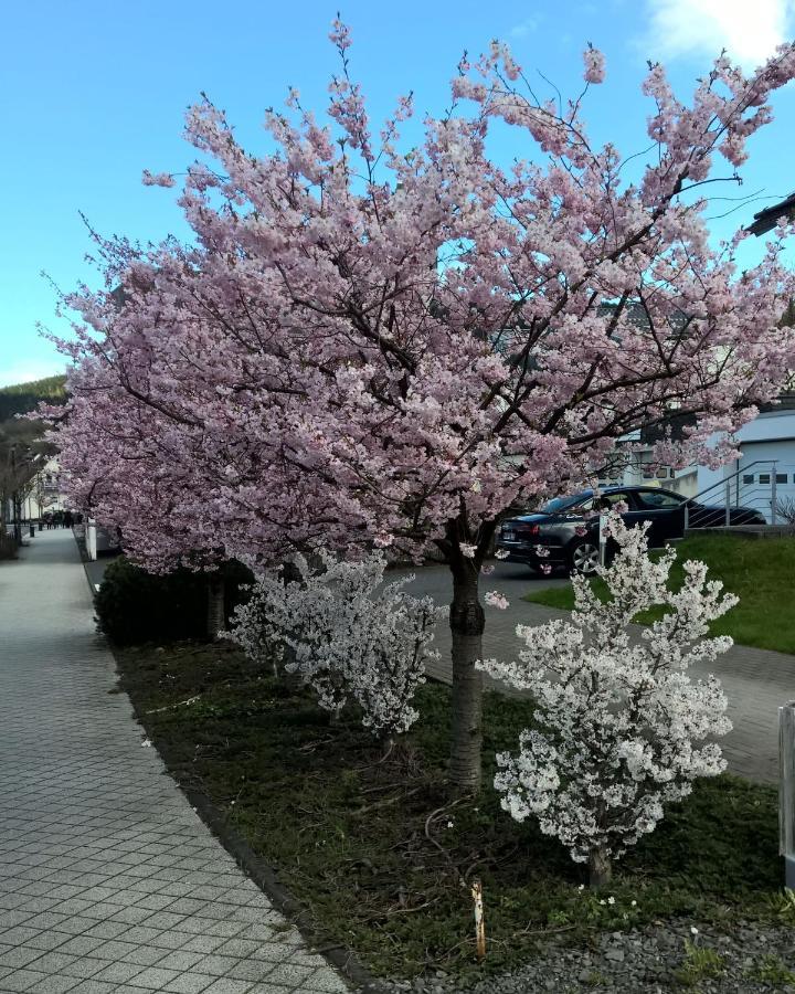 Fewo Altstadt Bl Bad Laasphe Exterior foto